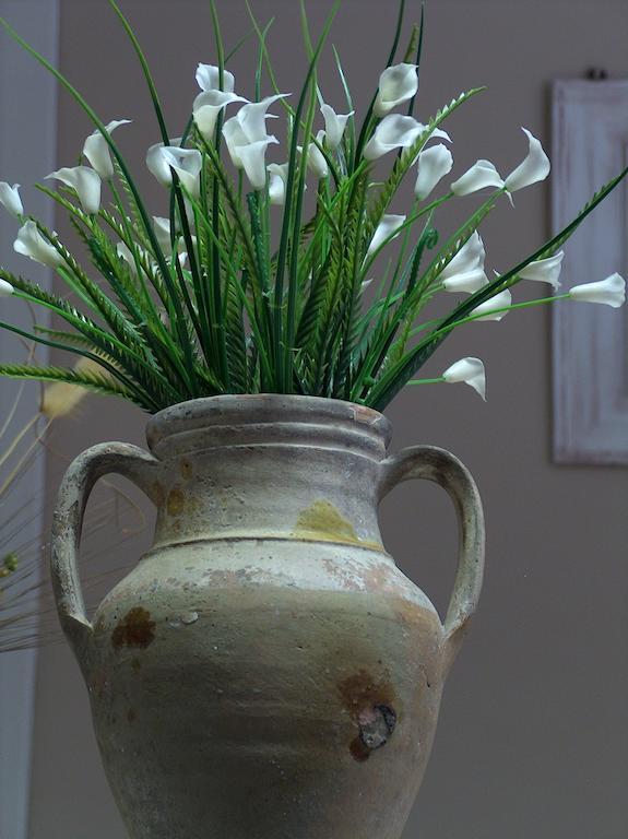 Hotel Coppa Di Cielo ペスキチ エクステリア 写真